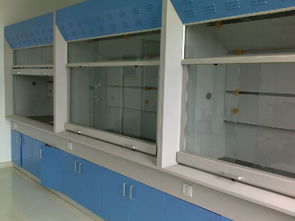 陜西實(shí)驗(yàn)室通風(fēng)設(shè)備與裝修指南 西安通風(fēng)柜、延安裝修價(jià)格及廠家選擇
